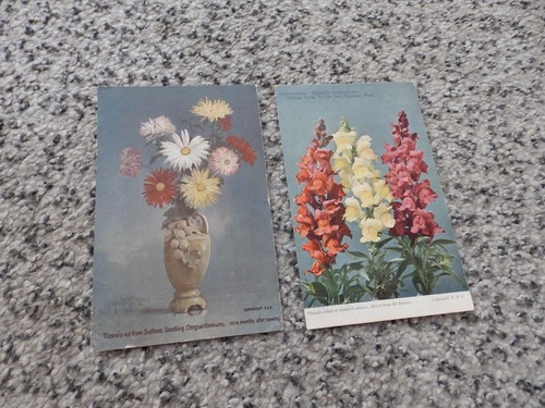 Postcards sutton sons - postcards,