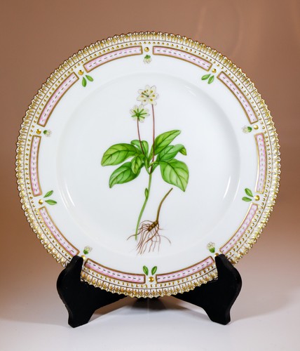Plate 3573 flora danica - plate,