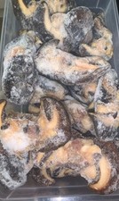 FRESH FROZEN JUMBO SNAILS
