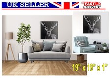 Deer Stag Black White Canvas