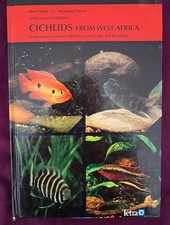 Cichlids From West Africa