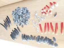 6 months of moulted real African Grey Parrot Feathers