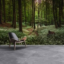 Non woven Wall Mural Photo