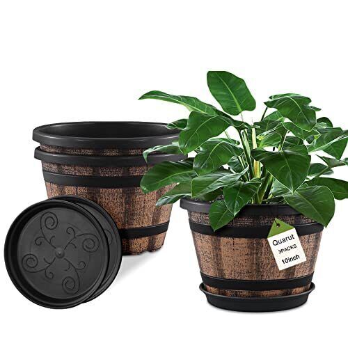 Plant pots set pack - set, 10
