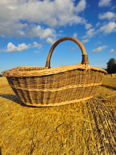 Extra large wicker trug basket - extra,