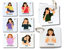 Emotions and Feelings Flash
