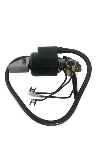 Ignition magneto coil module - ignition,