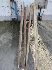66" Black Locust Bow Staves
