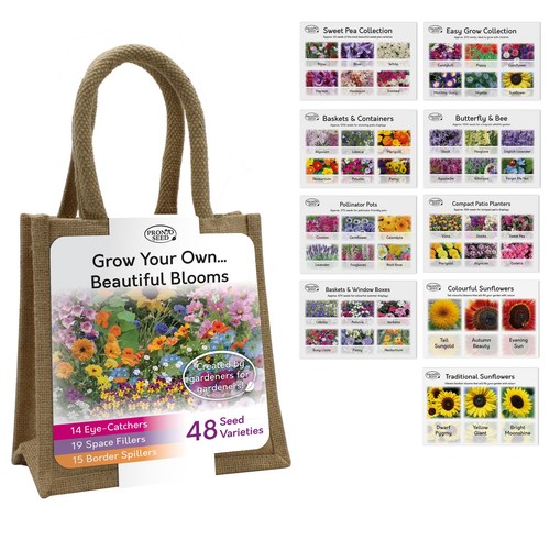 Pronto seed flower bumper - seed,