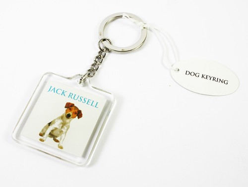 Dogs westie black labrador - westie,