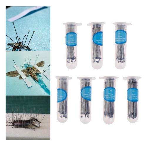 100x specimen entomology pins - 100x,