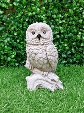 Owl 15cm x 7cm x 9.5cm latex