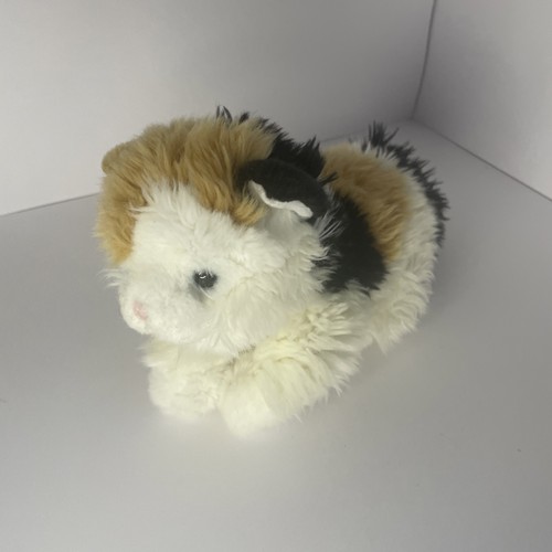 Tesco calico kitten - calico,