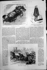 Antique Old Print Horse Steps Guildhall Serious Accident Dorking Coach 1875