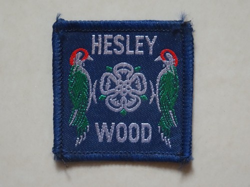 Hesley wood camp - hesley, scout
