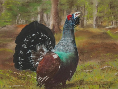 Barbara taylor original - barbara, pastel