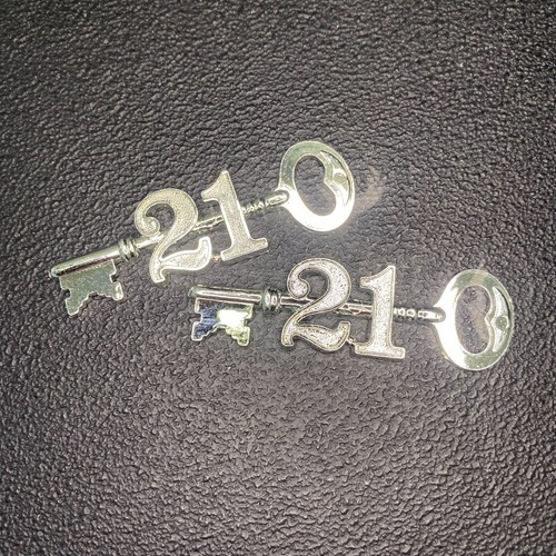 21st silver birthday key 2 - key,