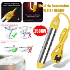 2500W Electric Immersion