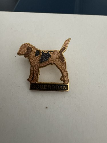 Gogerddan foxhounds - ,