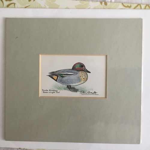 Peter scott duck - duck, print