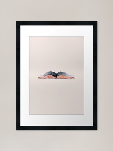 Salmon book framed art - salmon, print