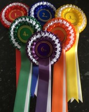 Set 1-6, 3Tier Rosettes, Large