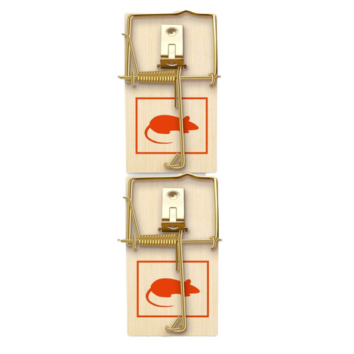 Mouse traps mice trap - mice, rodent