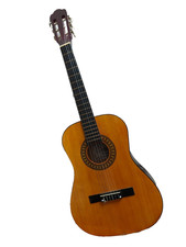 Encore ENC 340FT Acoustic