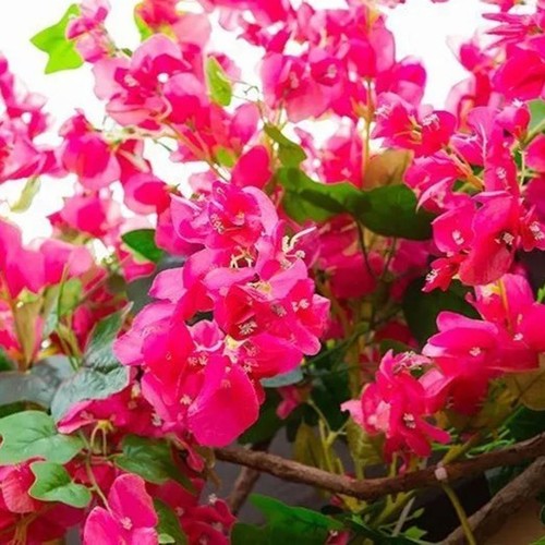 120cm artificial silk - 120cm,