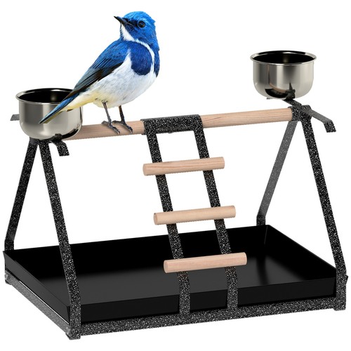 Parrot bird stand perch - parrot, ladder