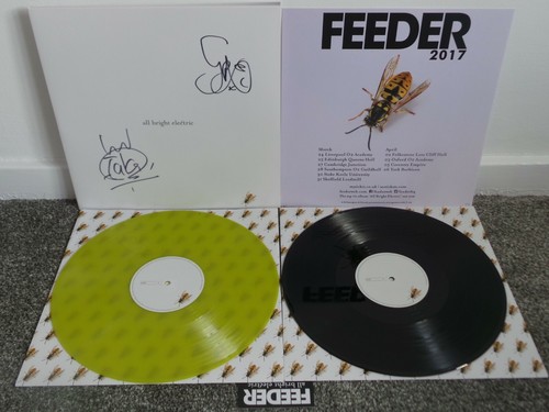 Feeder all bright - feeder,