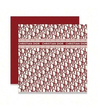 10 Pcs Designer Dior style