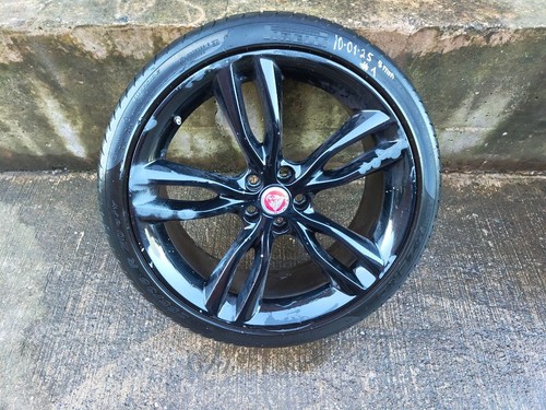 Jaguar x260 single - single, 20''