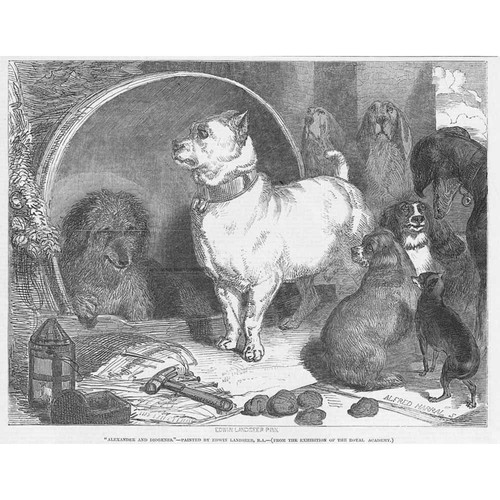 Edwin landseer dogs - edwin, alexander
