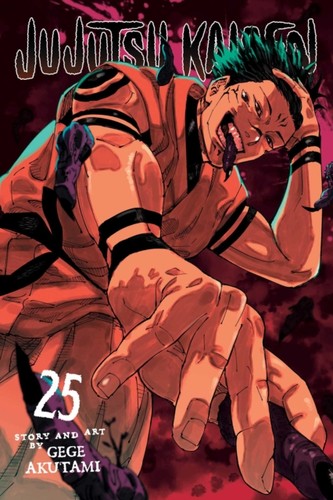 Jujutsu kaisen vol - vol, 25