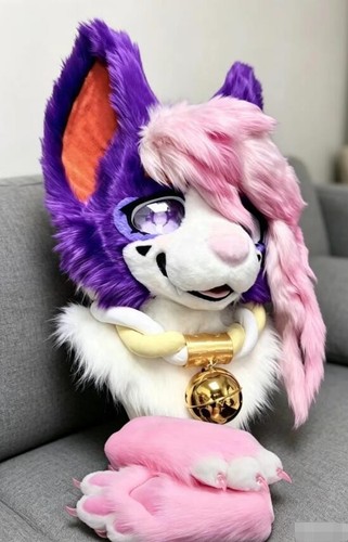 Fursuit long fur husky fox - fur,