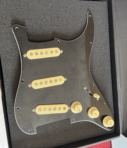 Loaded pickguard stratocaster - loaded,