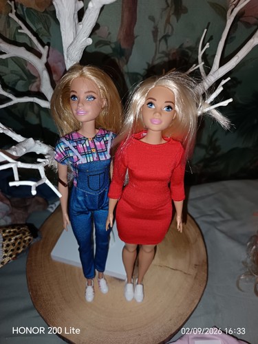 Barbies one curvy both come - barbies,