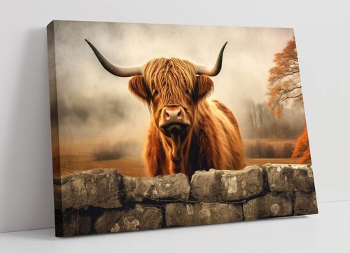 Highland cow behind wall - highland,