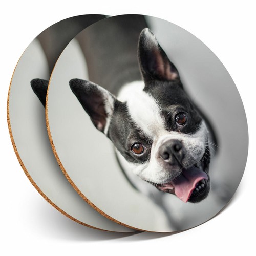 Coasters smiling boston - x,