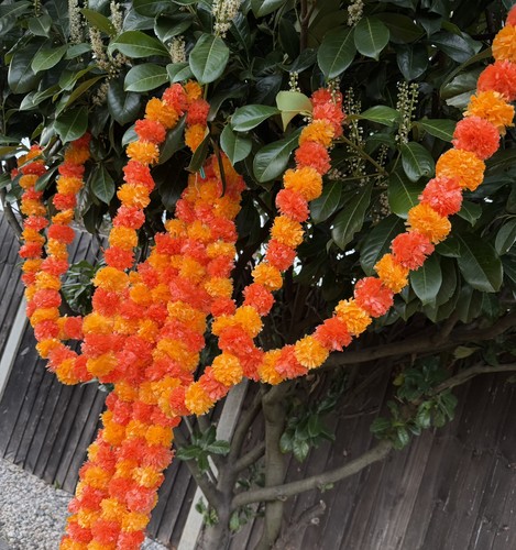 Marigold flower garlands 10 - marigold,