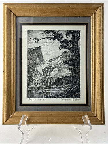 Framed vintage etching dream - vintage, 'dream