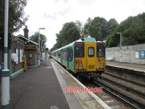 Photo southern emu 455832 - ,
