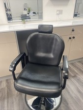 Salon Chairs Set of 2