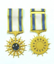 US Air Force DSM Distinguished