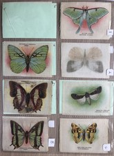 43/50 British American Tobacco