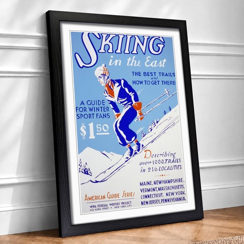 Vintage ski travel framed - travel,