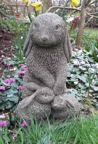 Stone garden cute flop eared - garden,