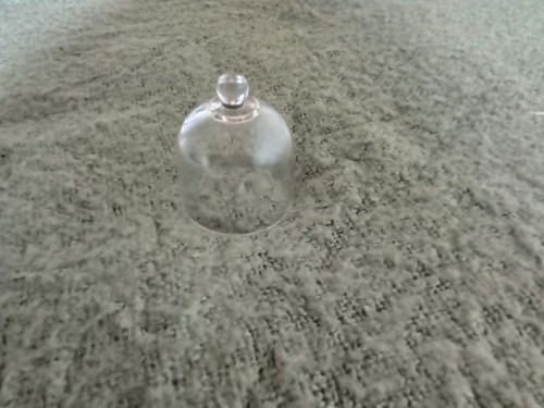 Small cheese patisserie dome - small,
