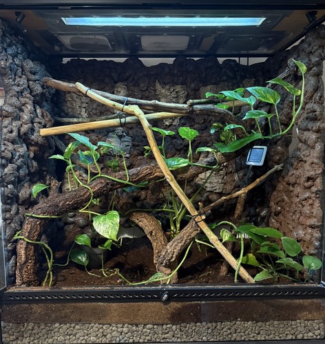 Exo terra natural terrarium - exo,